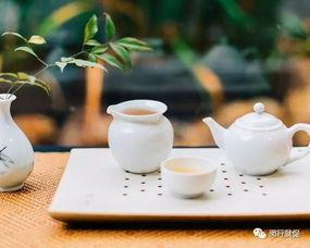 弘泰金融外包服務(wù)面試會(huì) 把握機(jī)遇，在金融外包服務(wù)領(lǐng)域揚(yáng)帆起航